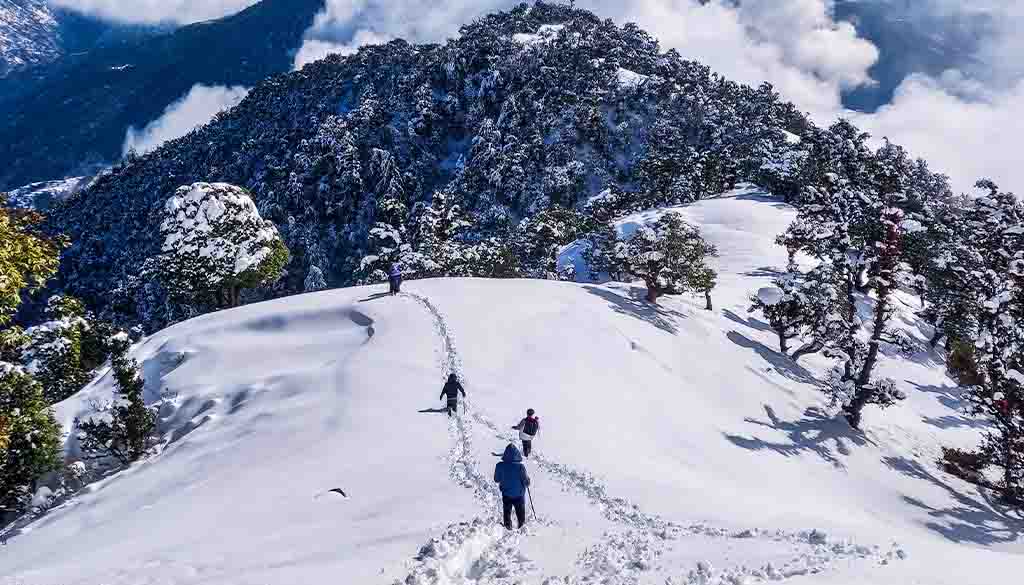 Manali Escape